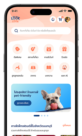LOOK LOOK Mobile App