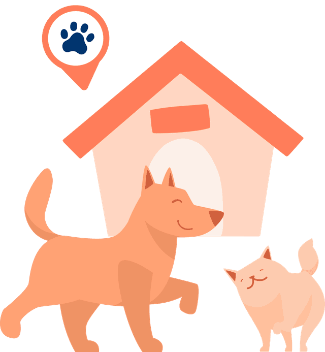 Partner Hero Illustration