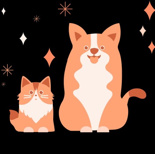 โรงพยาบาลสัตว์กรุงเทพ-นนท์ สาขา ณนนท์