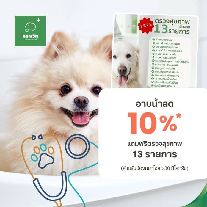 อาบน้ำสุดคุ้ม ลด 10% แถมตรวจสุขภาพ 13 รายการ (เฉพาะ 30 กก. ขึ้นไป)