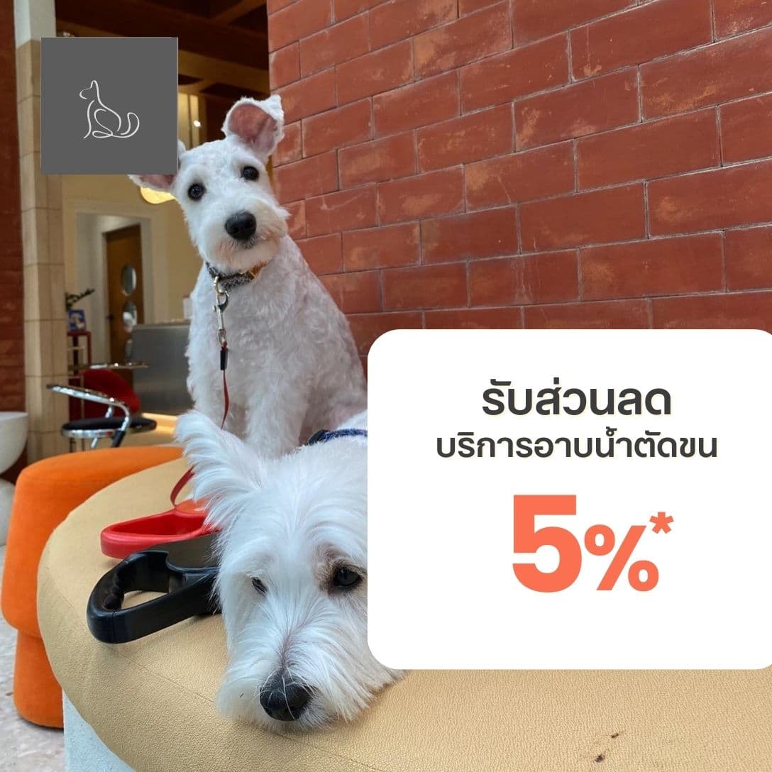 รับส่วนลดบริการอาบน้ำตัดขน 5% สำหรับการใช้บริการที่ร้านครั้งแรก