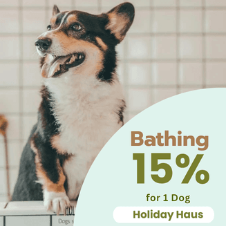 15% Off Handsome & Gorgeous Grooming ✨🐾