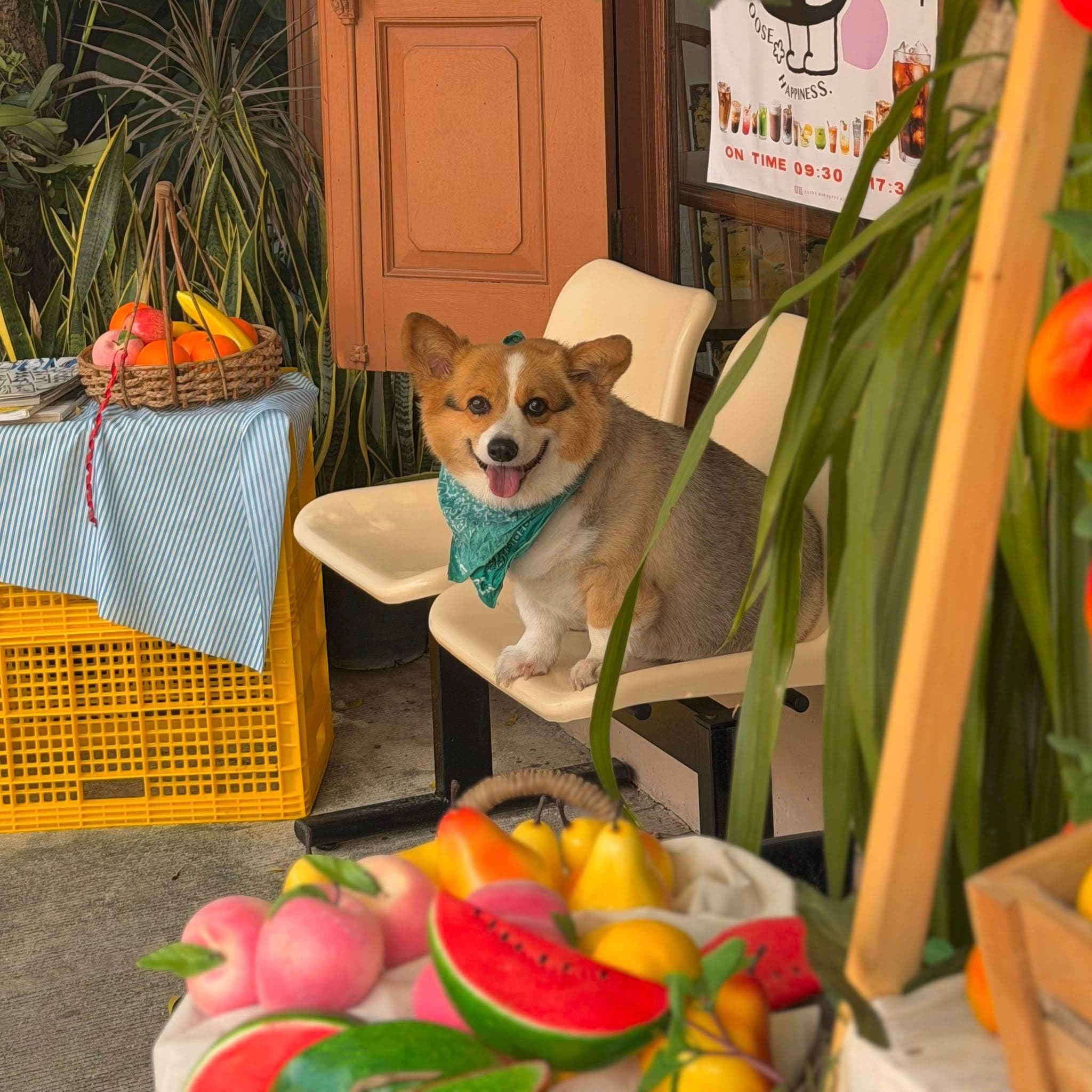 Happy Mom Happy Me gallery 6