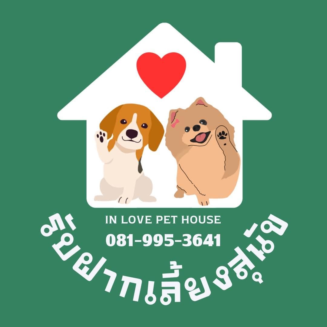 In love pet house