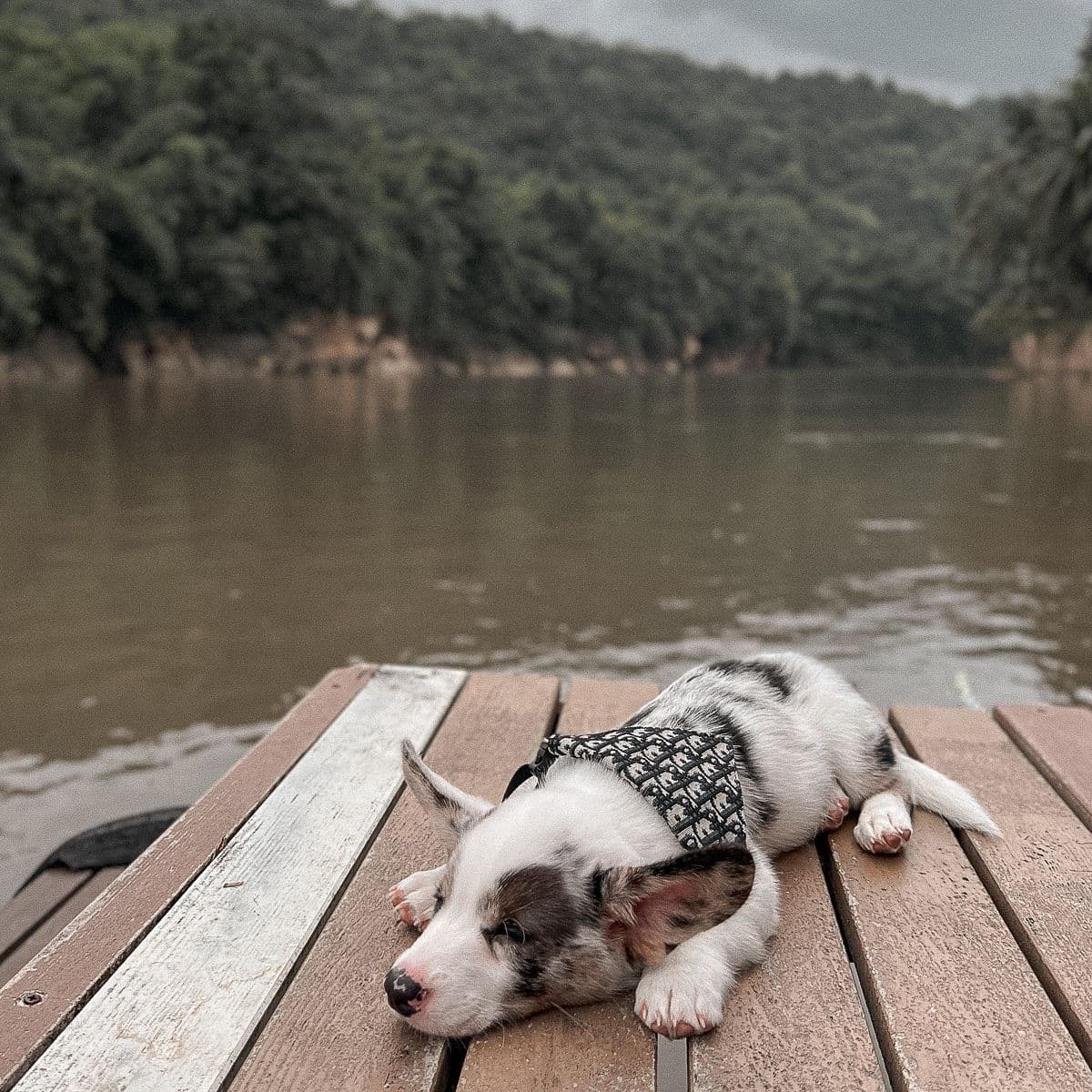 River Kwai Village gallery 7