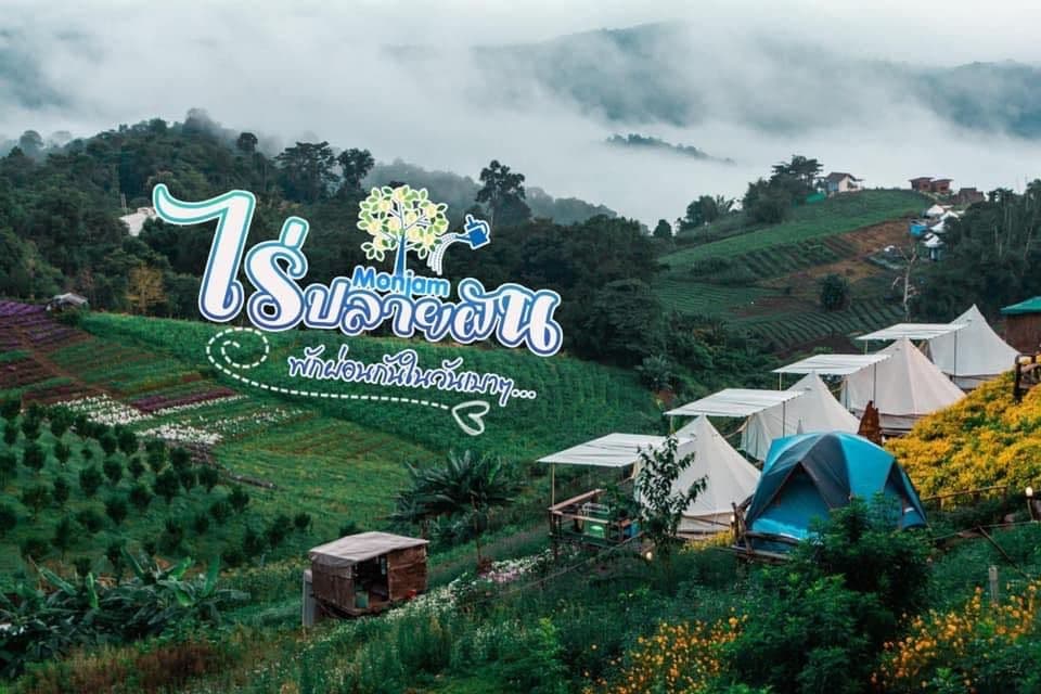 ไร่ปลายฝันแคมป์ ม่อนแจ่ม