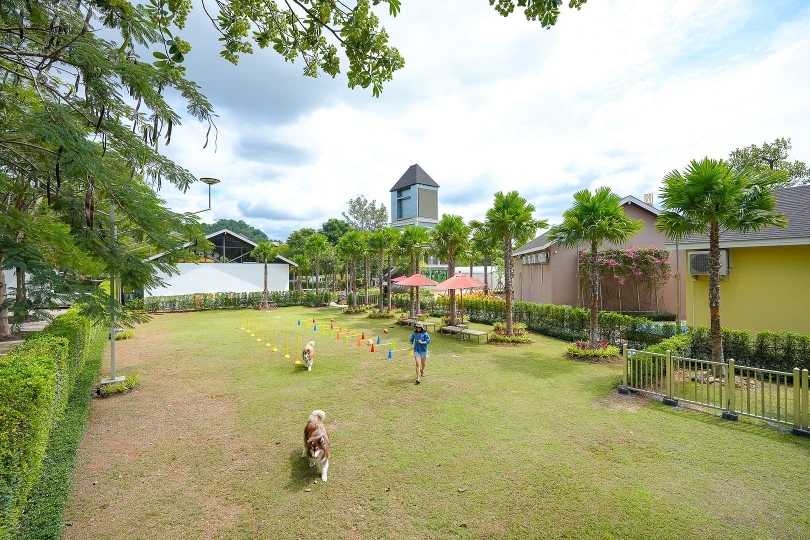 Khaoyai Dog Park at Studer Walking Street kao yai image 2