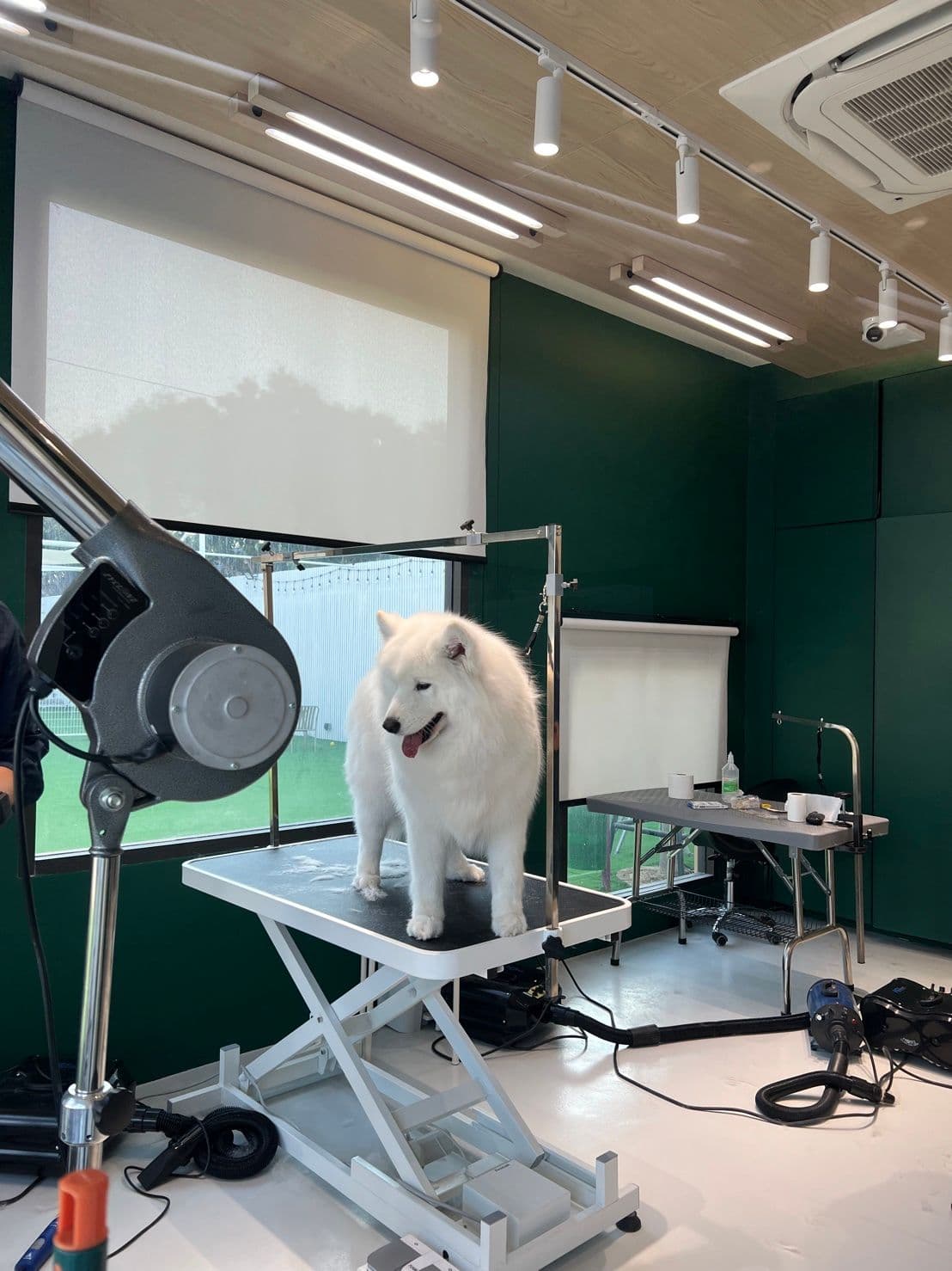 DoGGo PLAY gallery 5