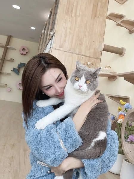 Cattopia Hotel and Grooming