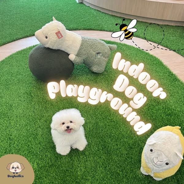 Dogholics gallery 4
