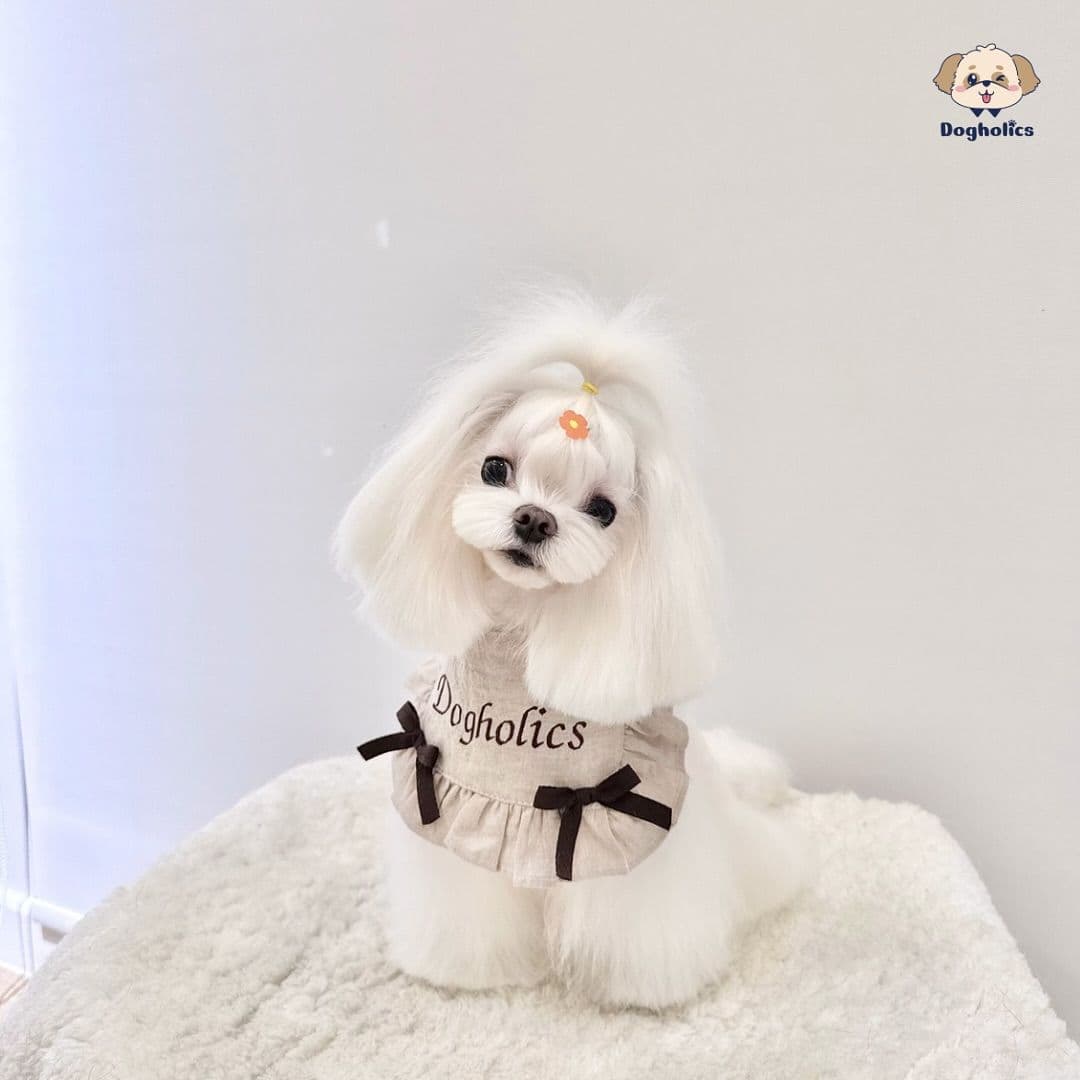 Dogholics image 2