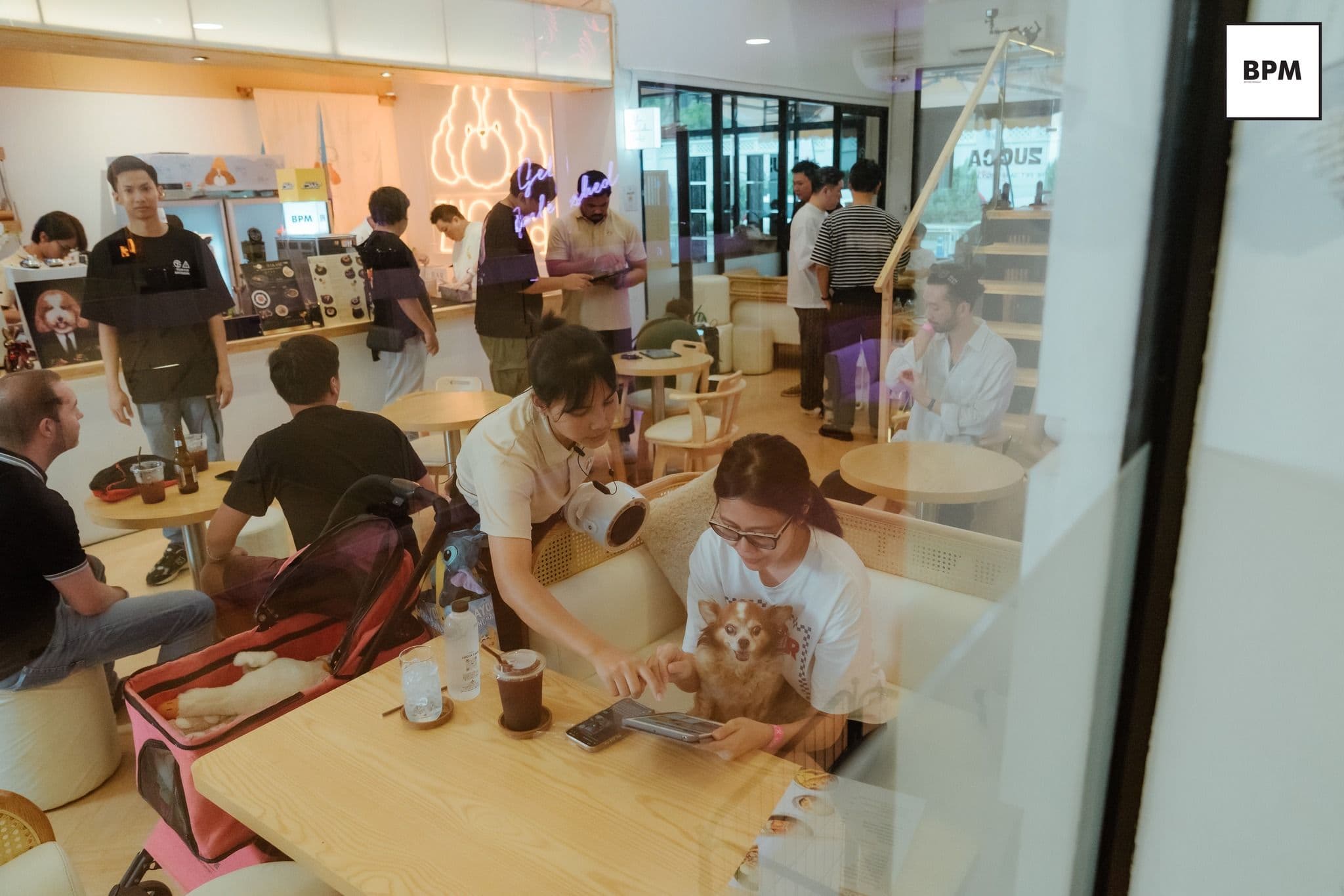 Zucca - The Pet Sanctuary & Cafe image 3
