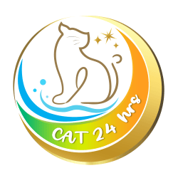 CAT24hrs
