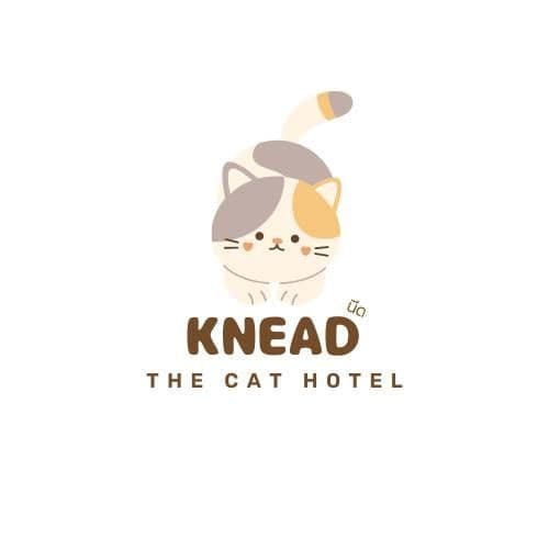 KNEAD The Cat Hotel