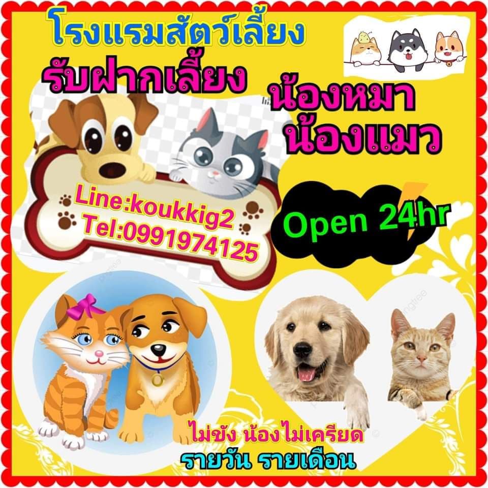 โรงแรมสัตว์เลี้ยง Google Villa