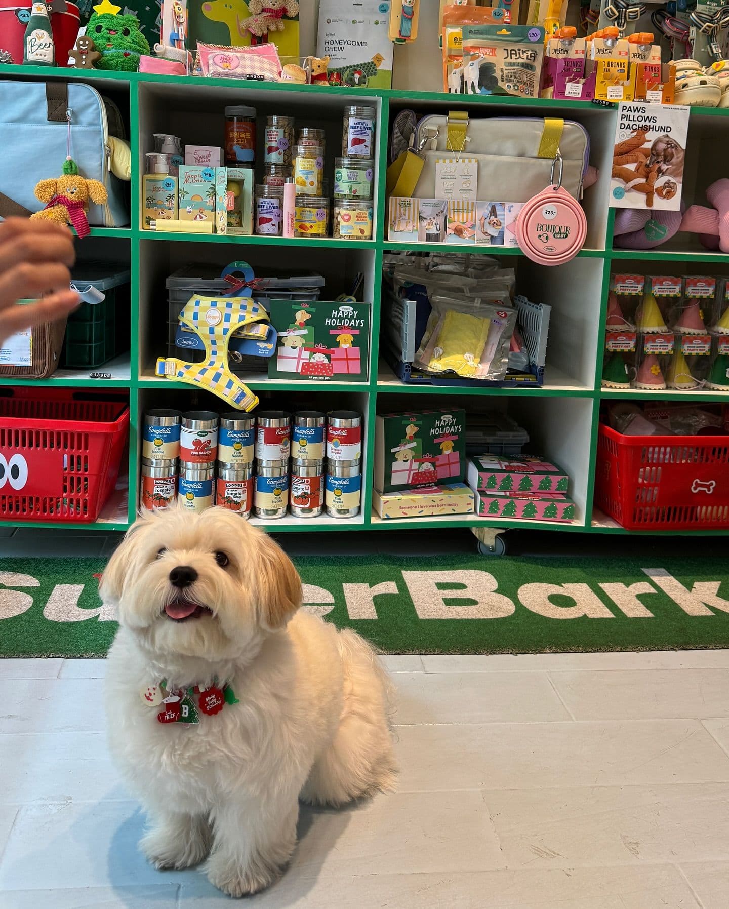 Superbarket Store by doggu pets gallery 11