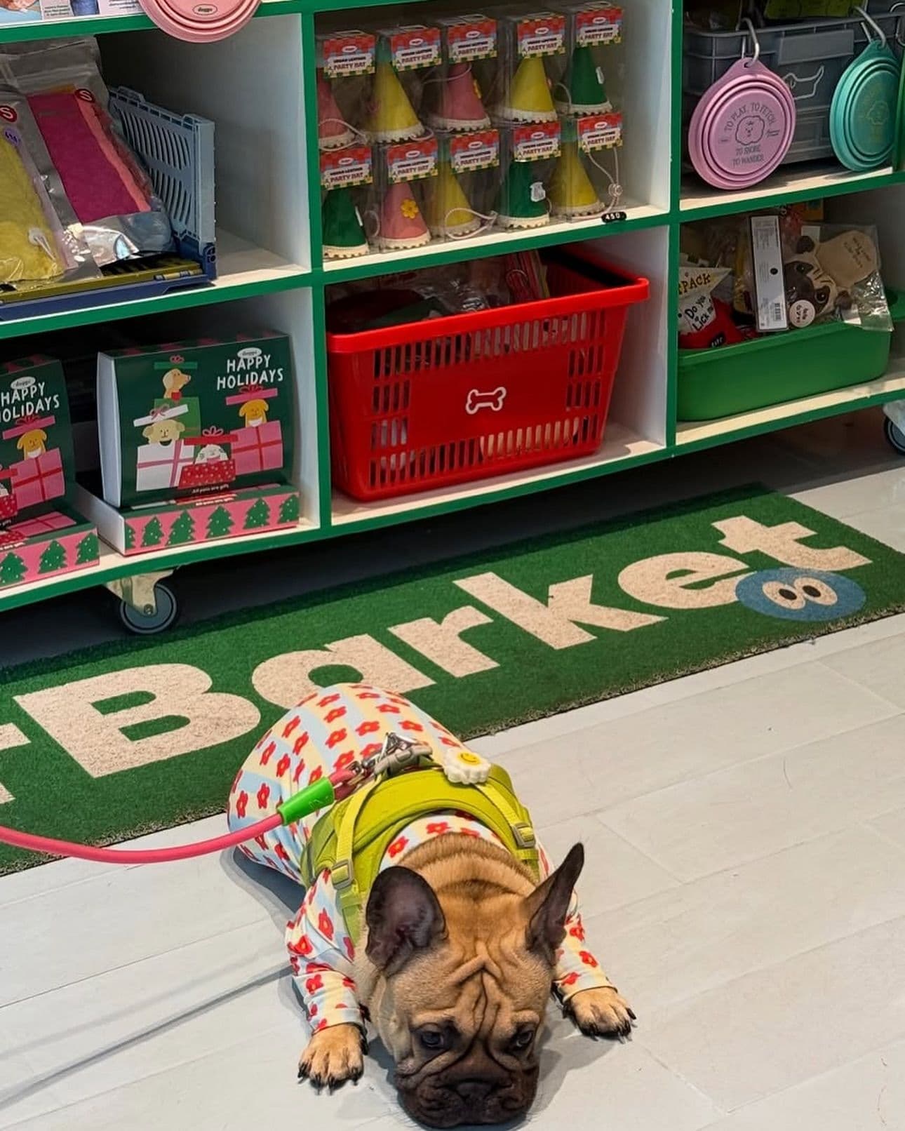 Superbarket Store by doggu pets gallery 9