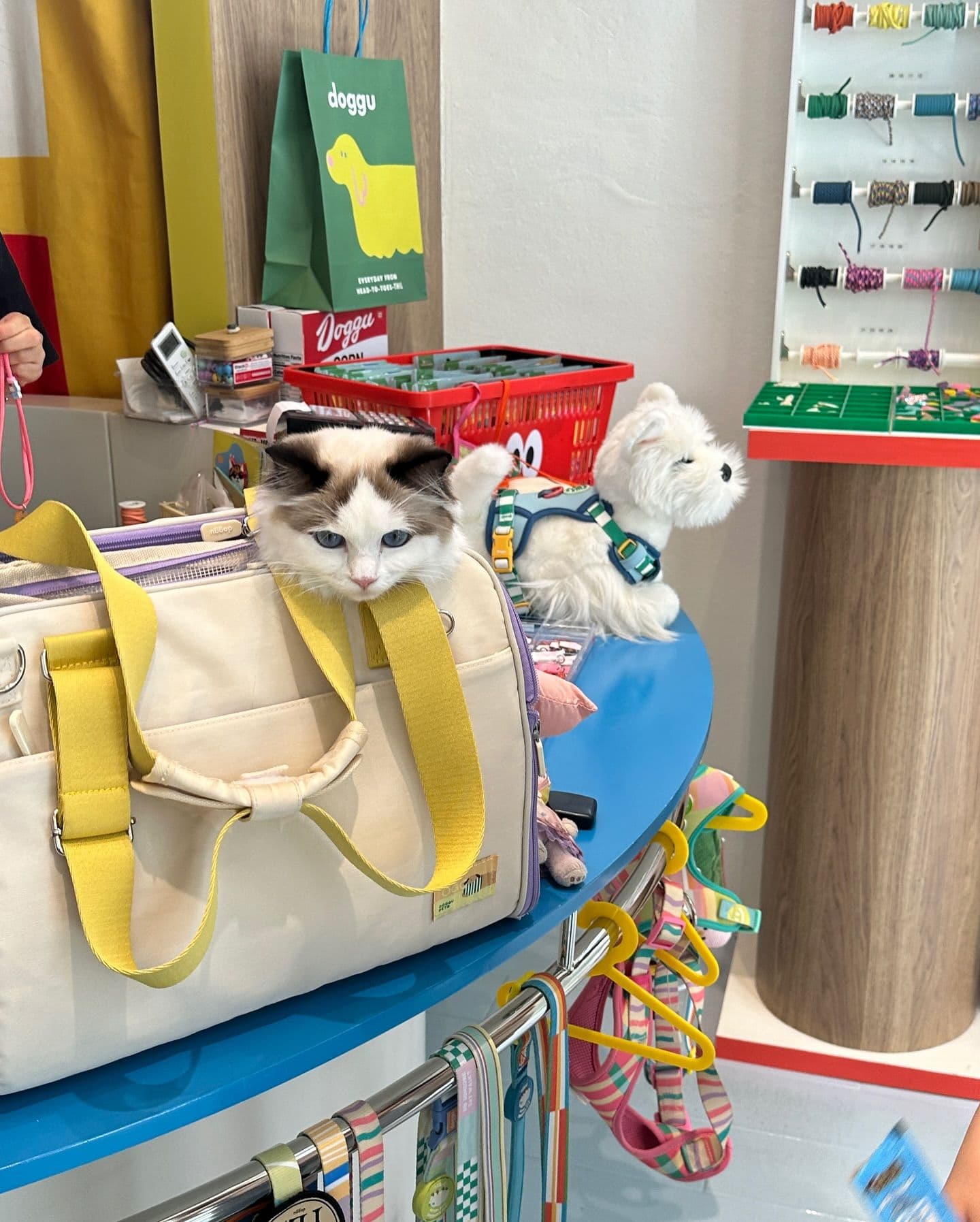 Superbarket Store by doggu pets gallery 12