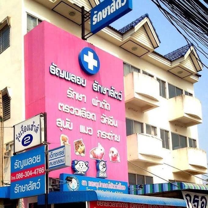 ธัญพลอย รักษาสัตว์