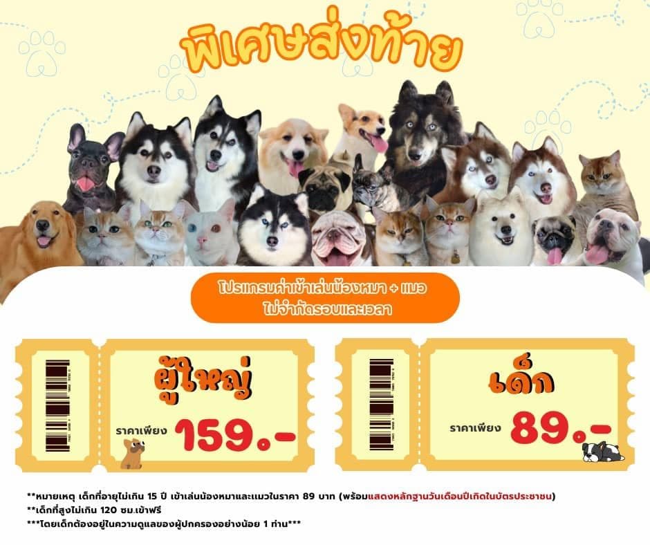 Dee’ Dog Cafe’ image 2