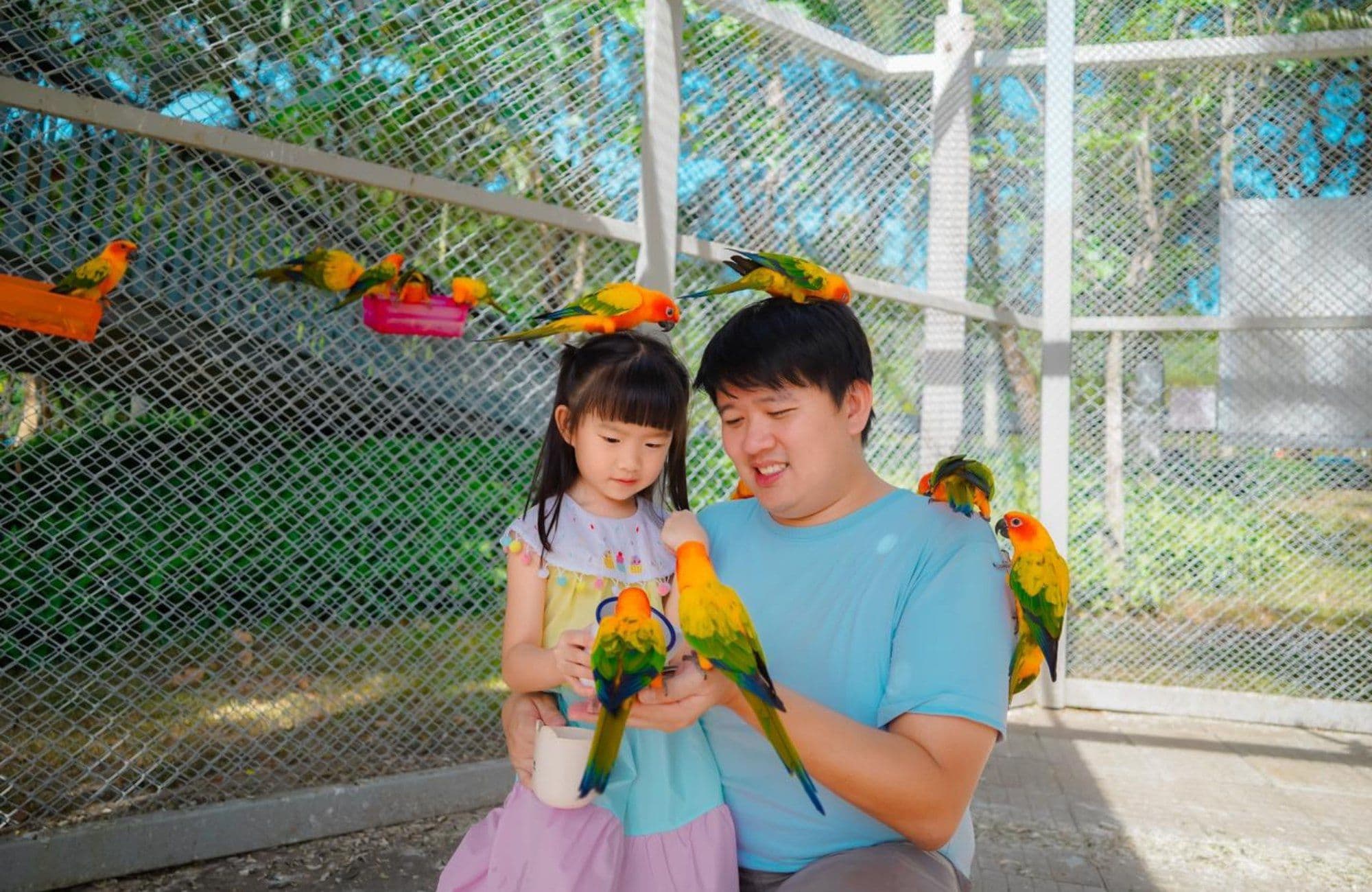 Khaoyai Fantasy Resort image 3