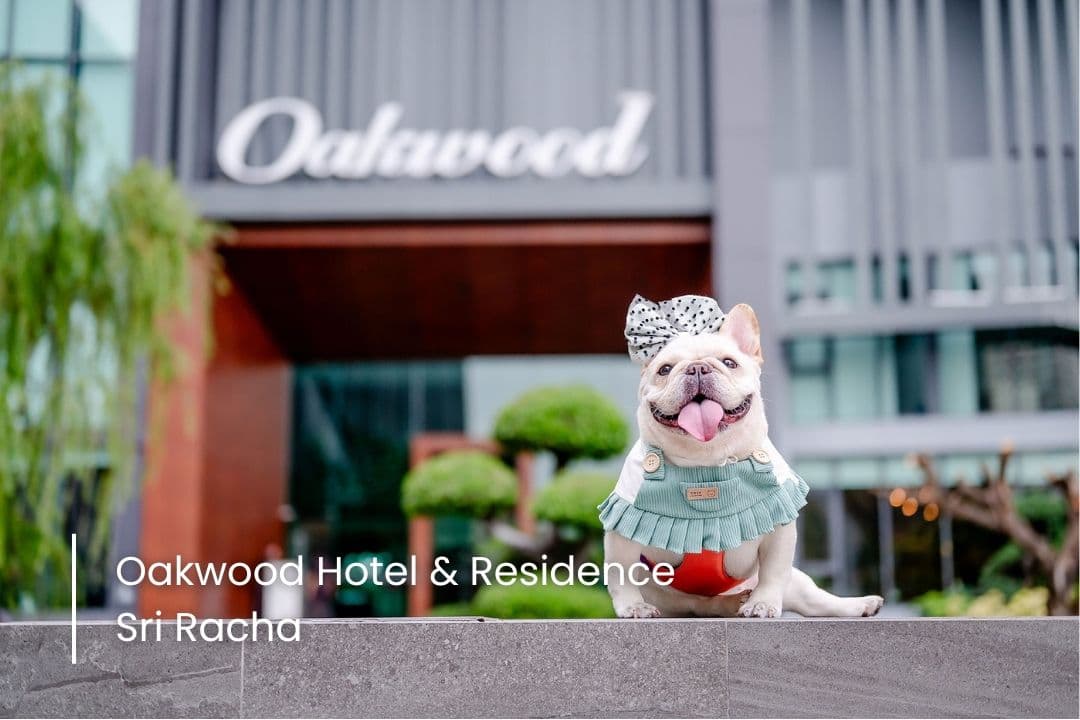 Oakwood Hotel & Residence Sri Racha image 2