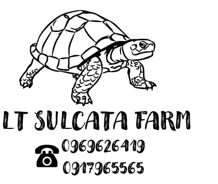 ร้านเต่าบกซูคาต้าสมุทรปราการ