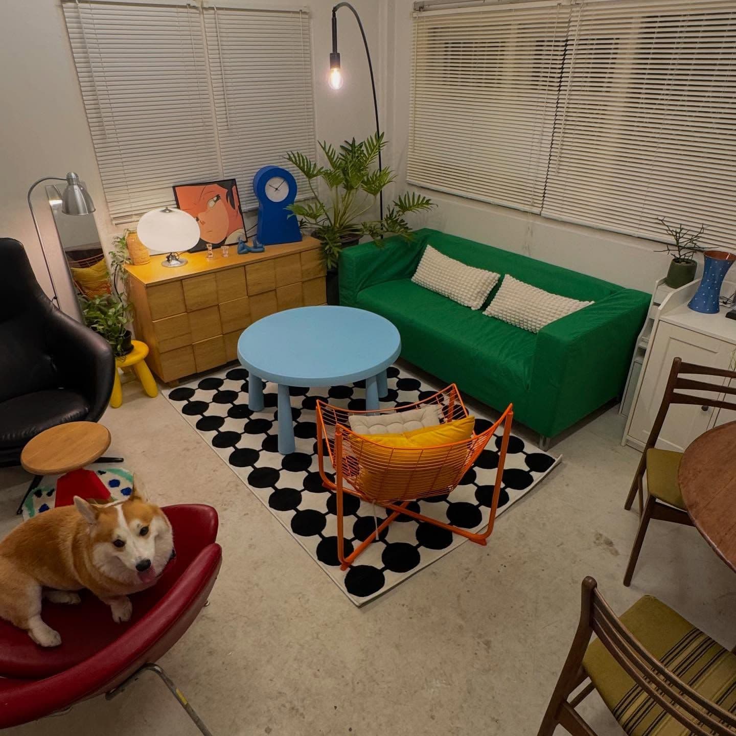 Neighbordog gallery 8