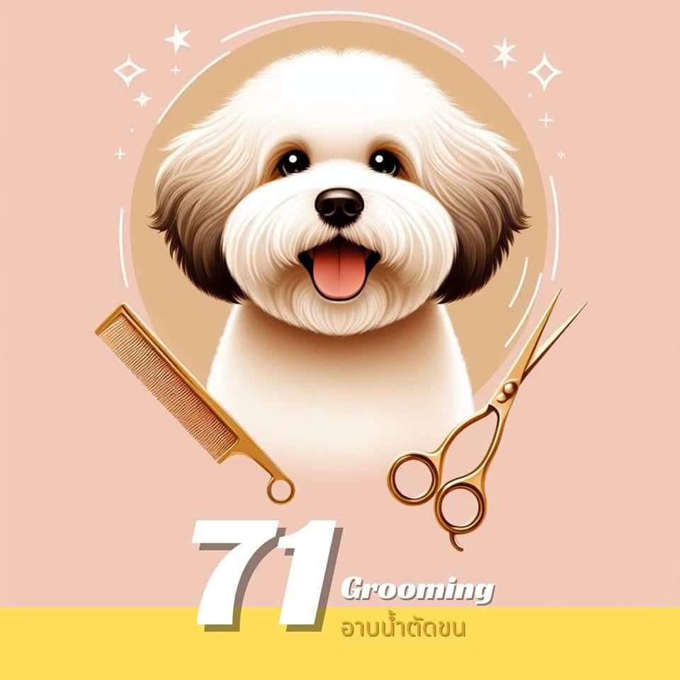 71 Grooming