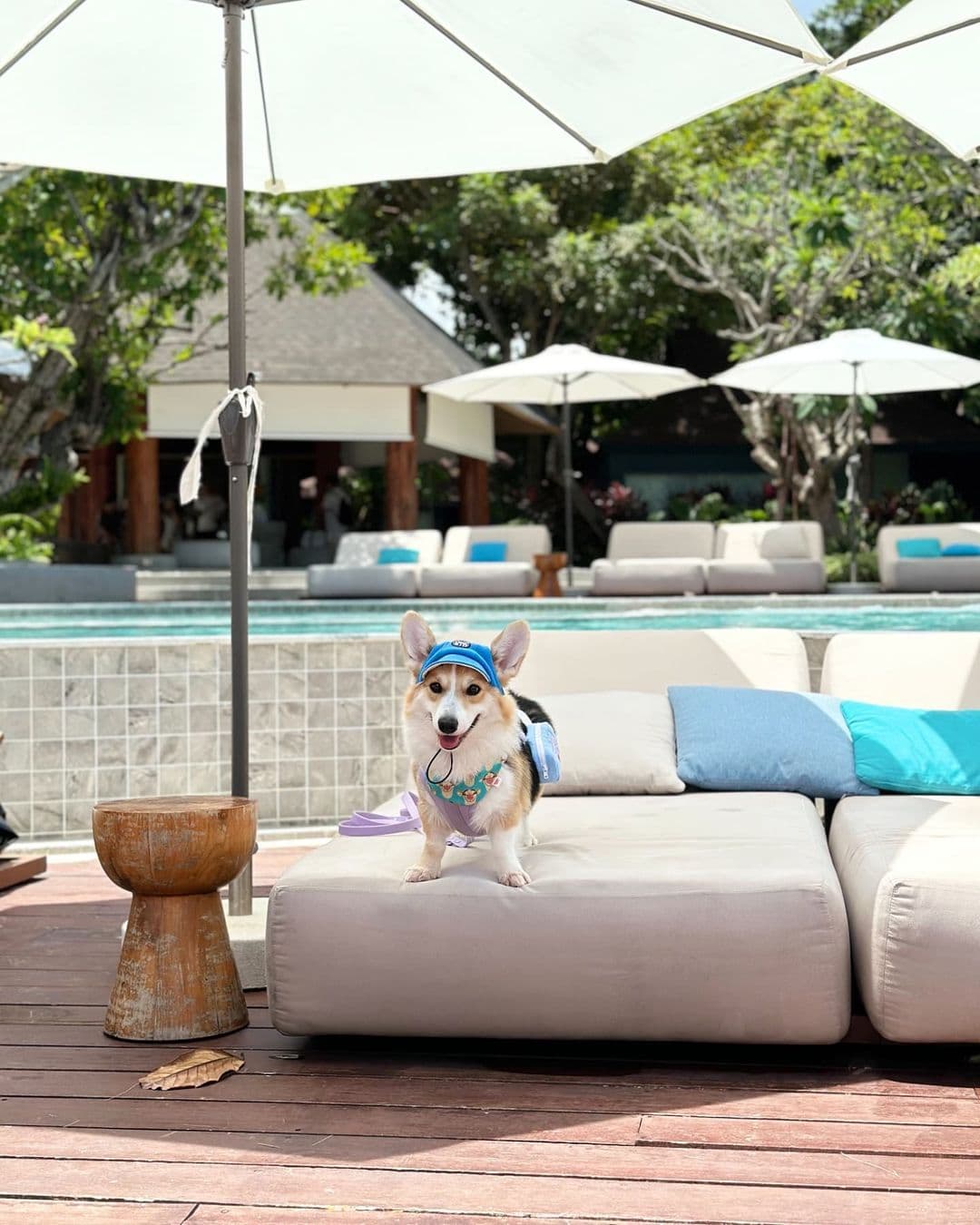 Mercure Rayong Lomtalay Villas & Resort