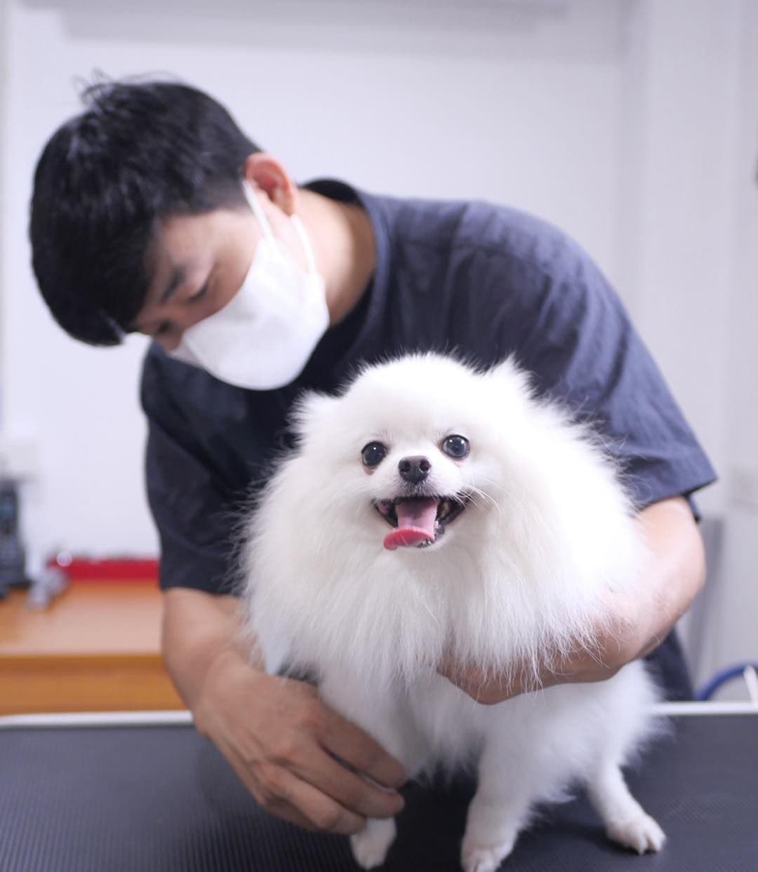 Vet 4 Animal Hospital image 2