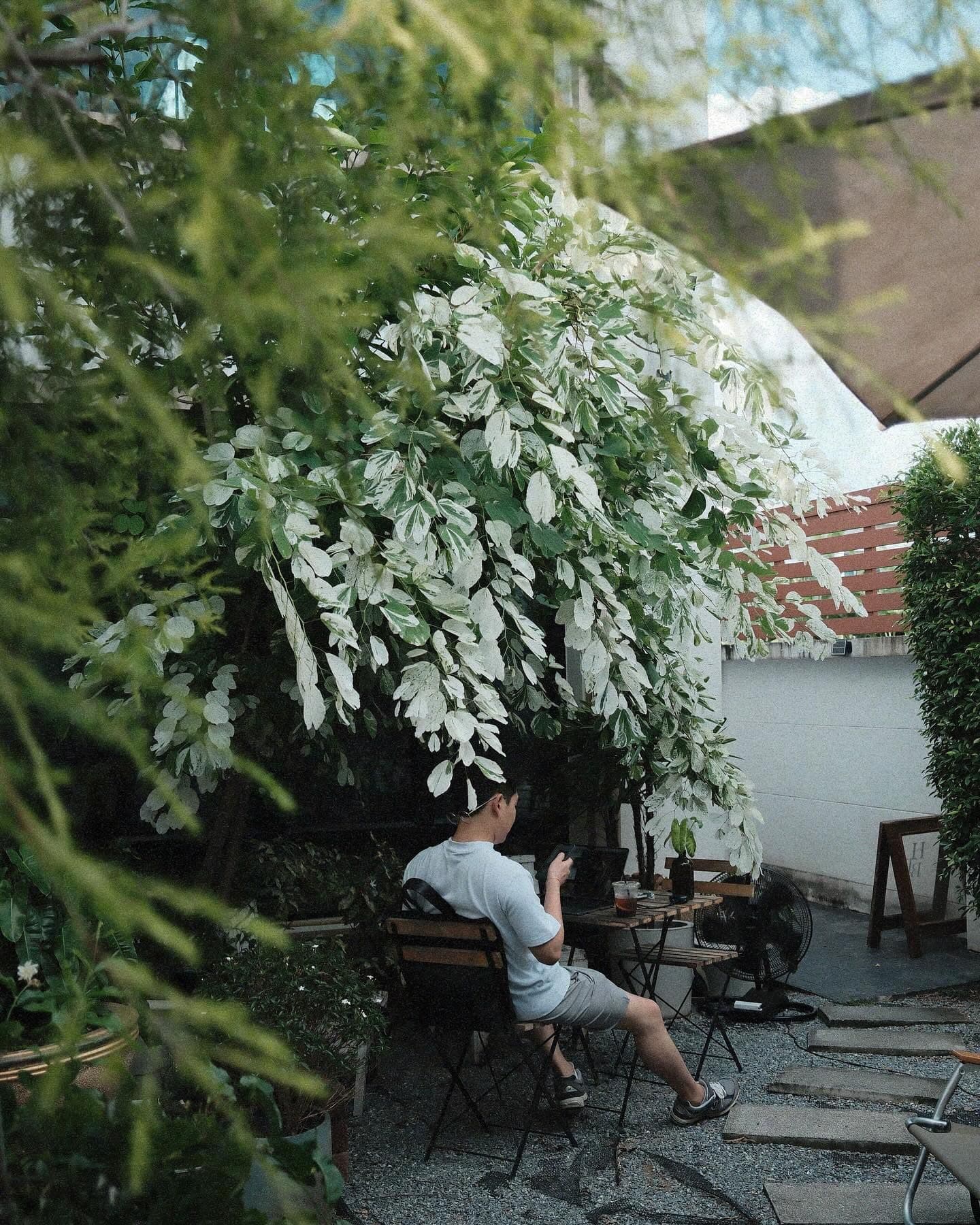 Homy in the backyard gallery 9