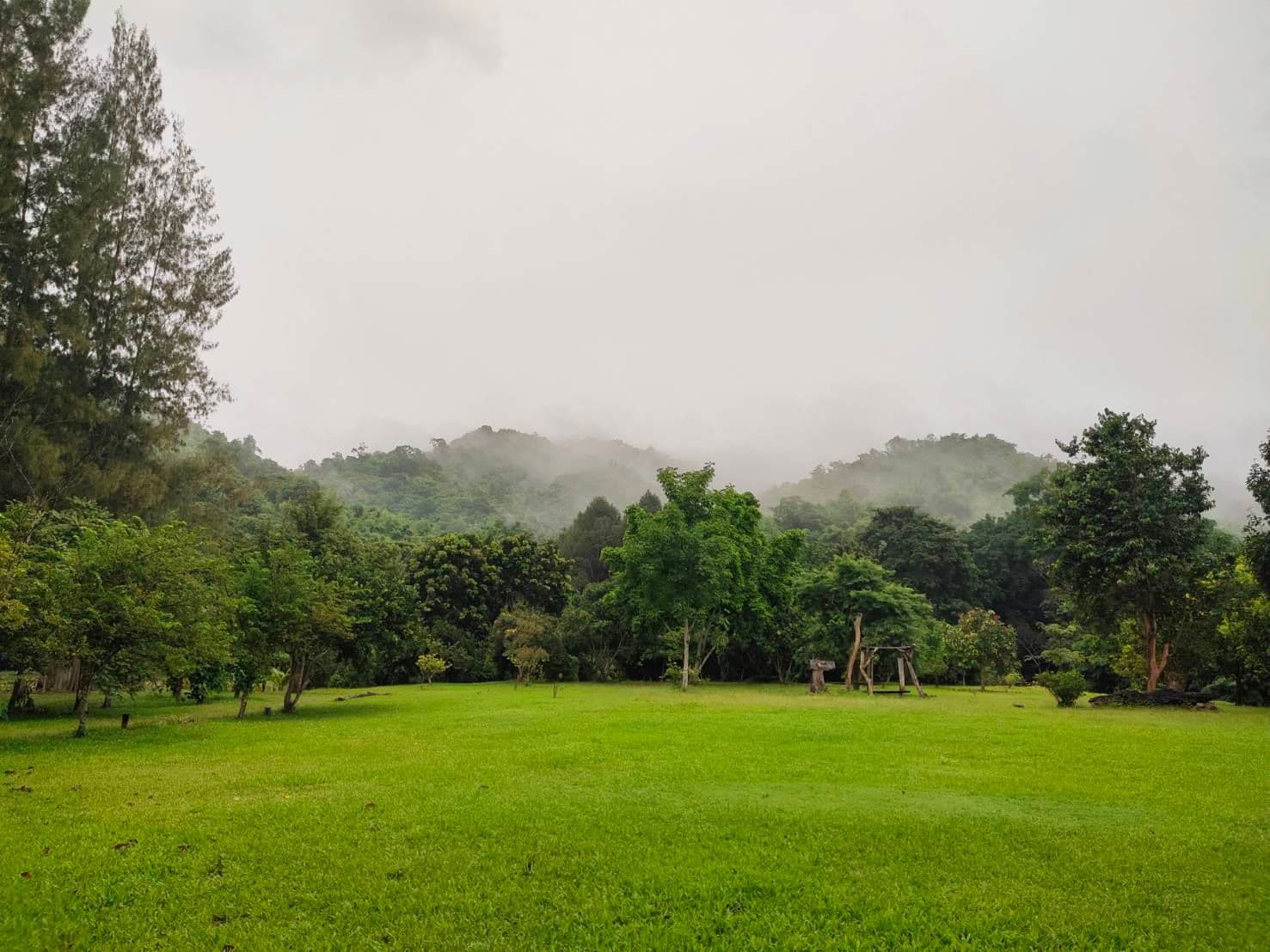 Pangwan homestay gallery 6