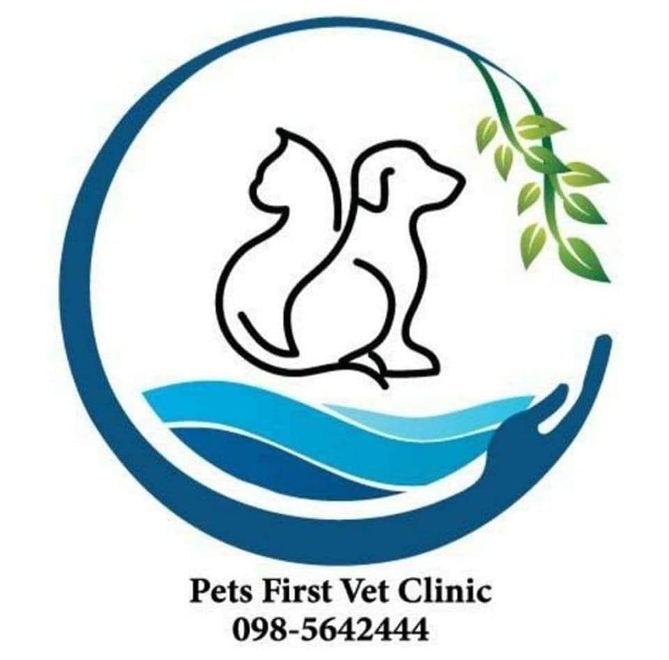 คลินิกเพ็ทเฟิสต์รักษาสัตว์