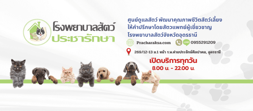 โรงพยาบาลสัตว์ประชารักษา image 2