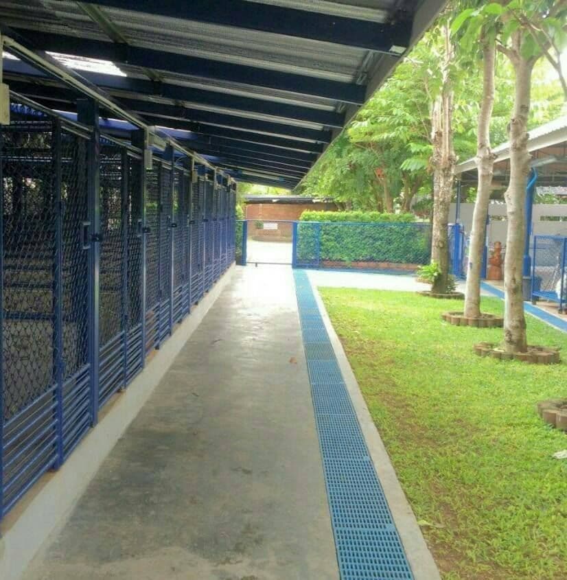 ศูนย์พัฒนาวิชาการฝึกสุนัข