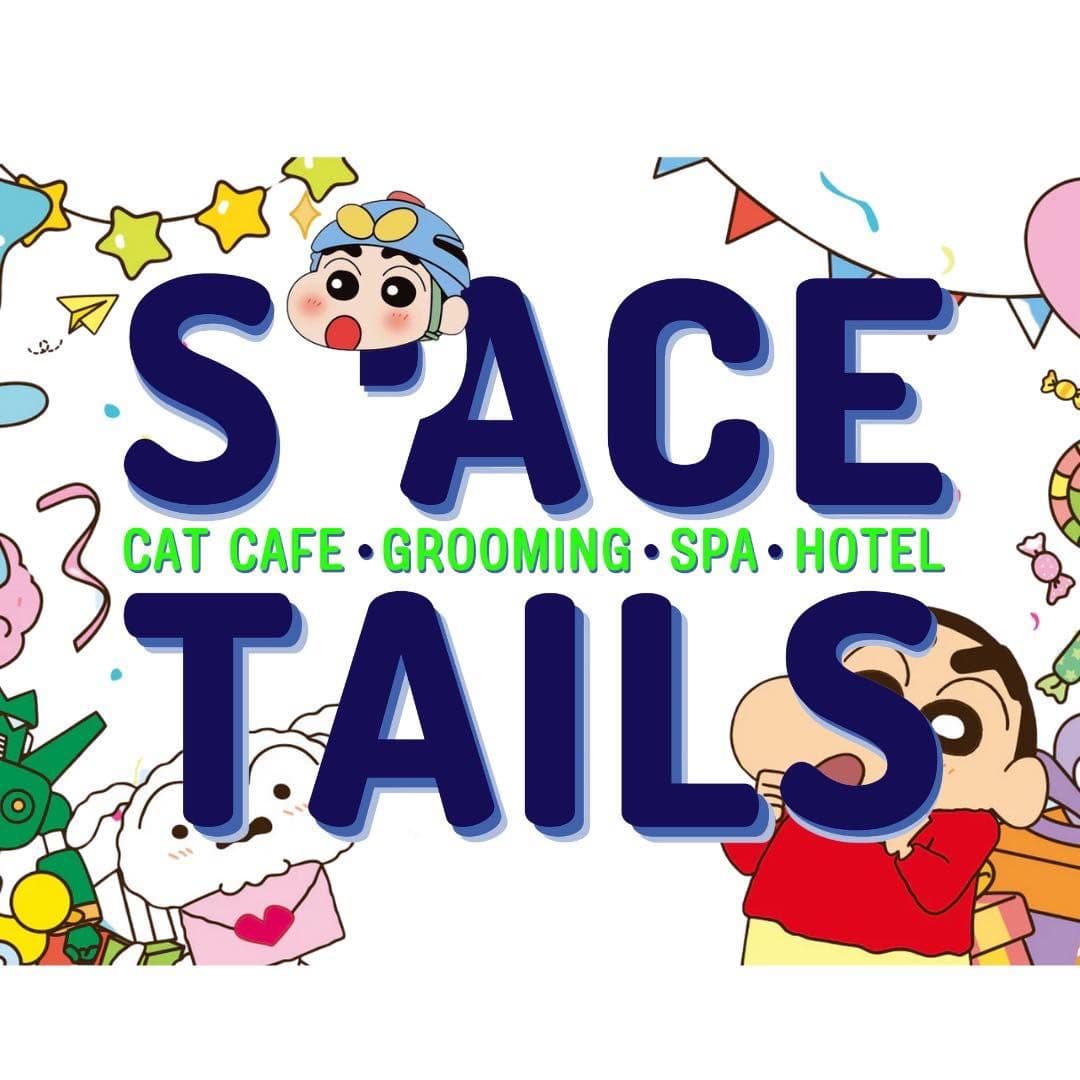 Space Tails Cat Cafe Grooming Spa & Hotel