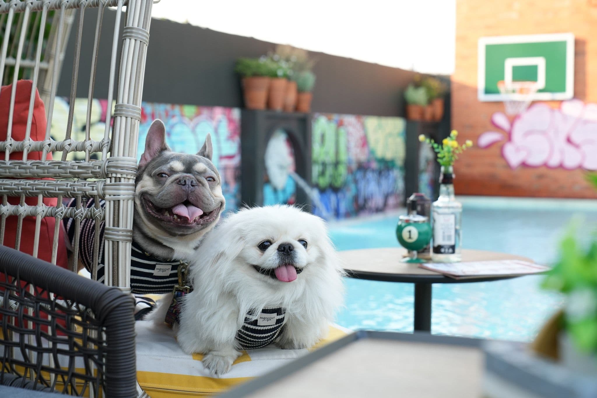 The Quartier Hotel Phromphong - Thonglor gallery 7