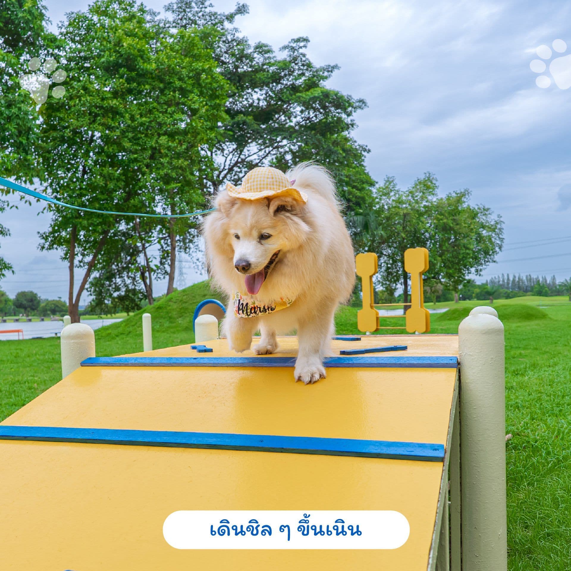 Pattana Sports Resort image 3