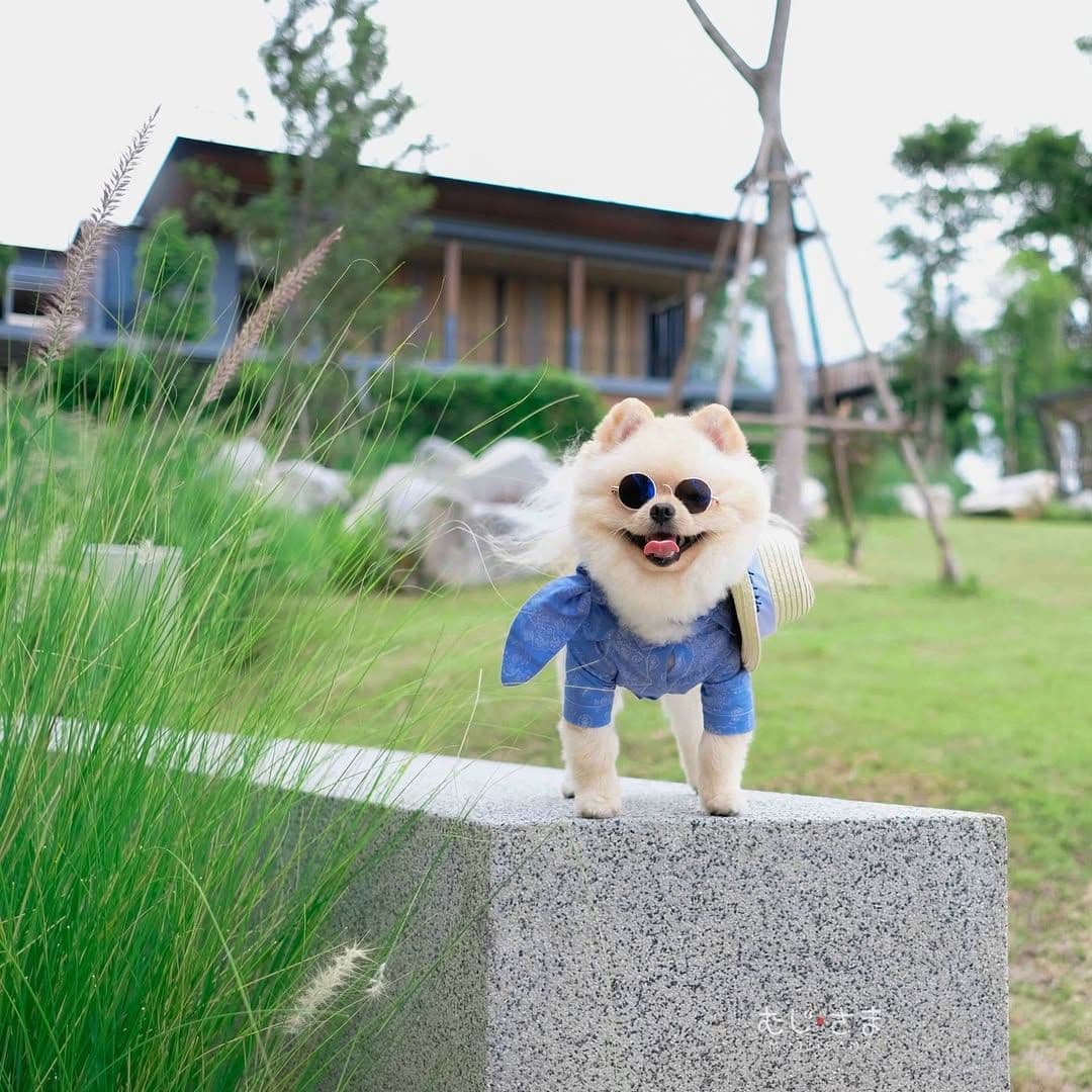 DusitD2 Khao Yai image 2