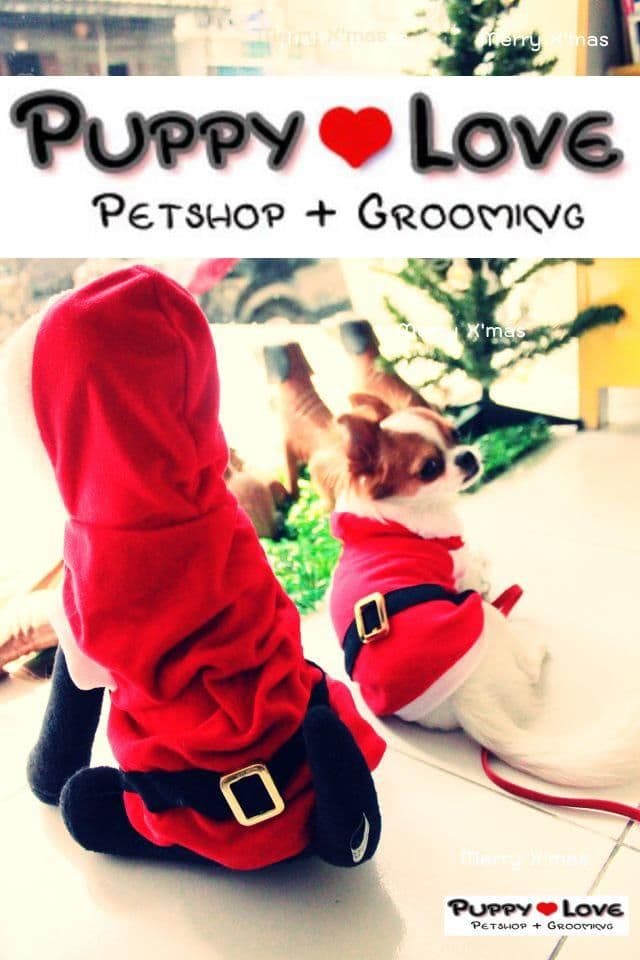 Puppy Love Huahin Grooming & Hostel