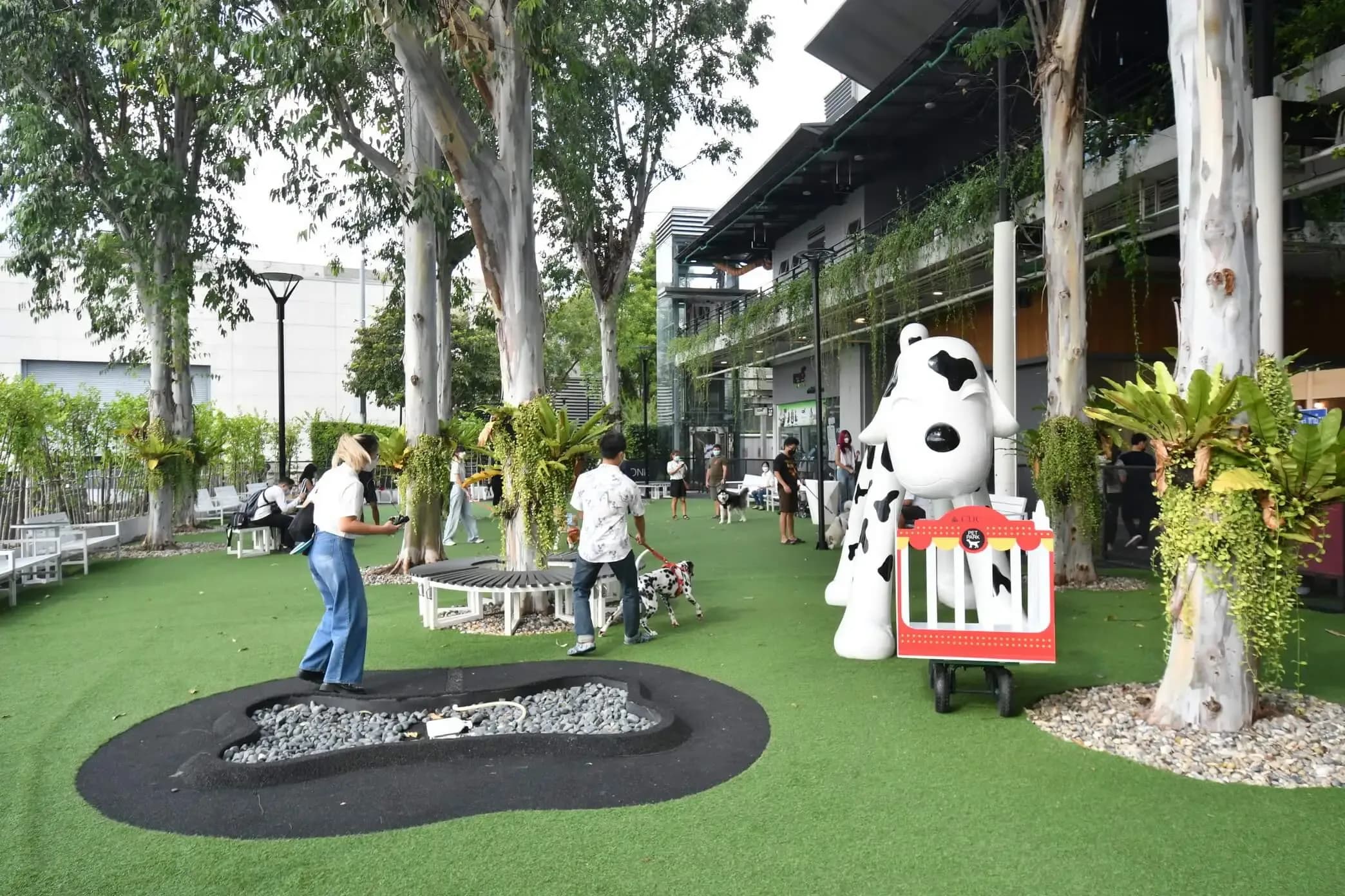 CDC PET PARK image 3