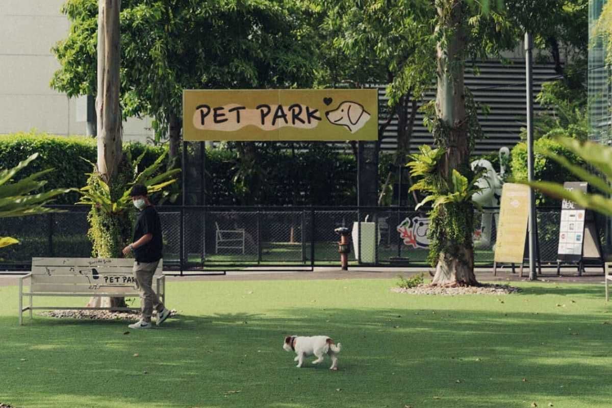 CDC PET PARK image 2