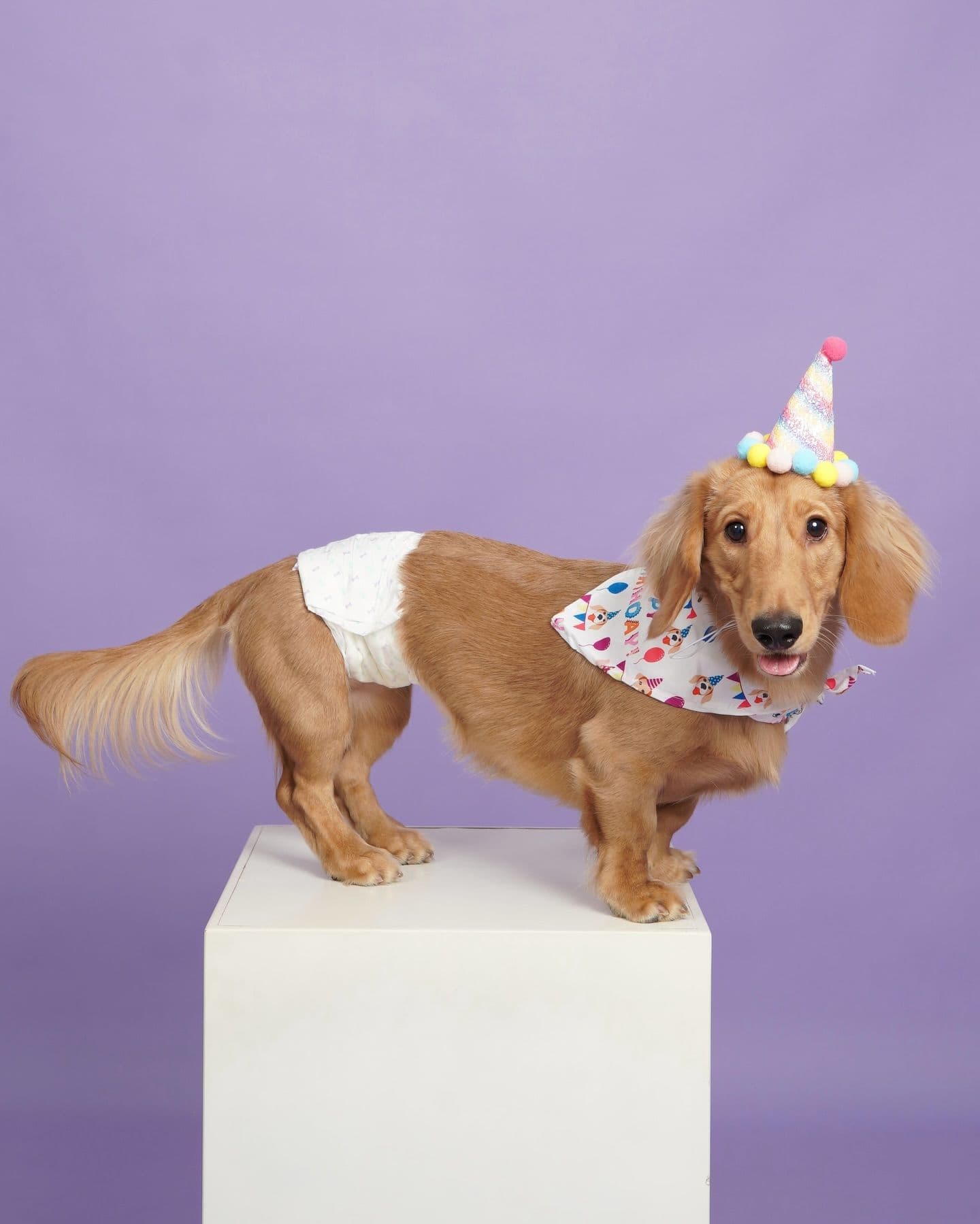 Stay Studio Sukhumvit 39