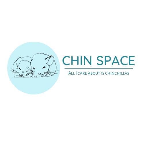 Chin.Space