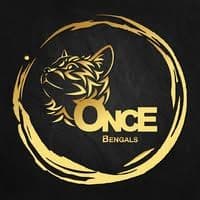 ONCE Bengals