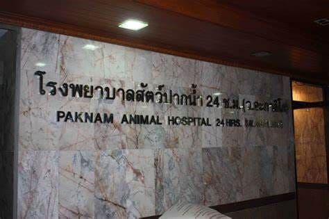 Pak Nam Animal Hospital