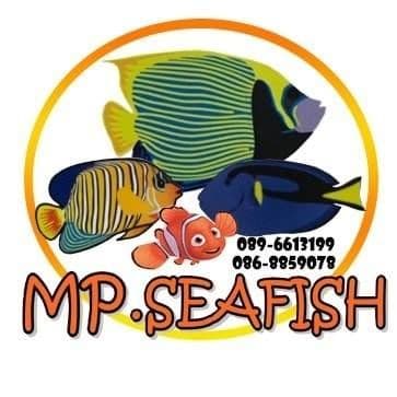 MP.seafish