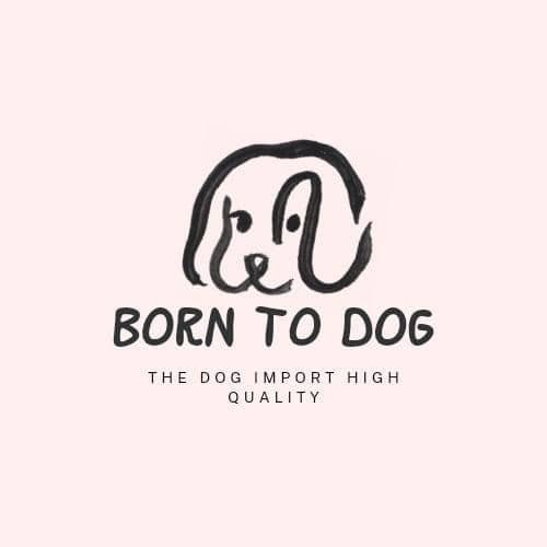Born to dog