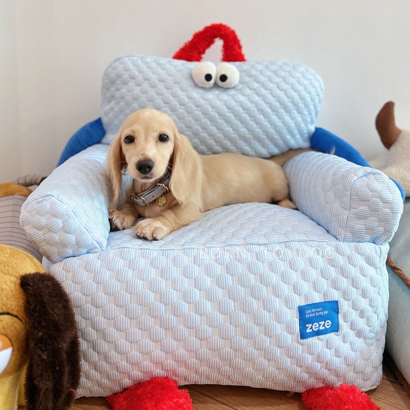 Born to dog image 2